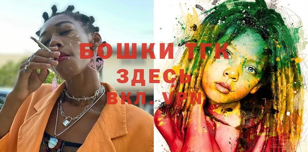 твердый Касимов