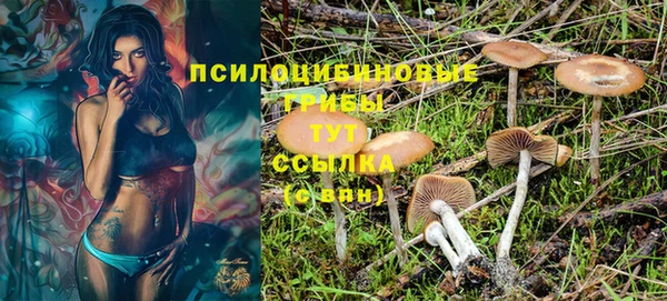 jwh Каменка