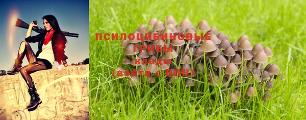 твердый Касимов