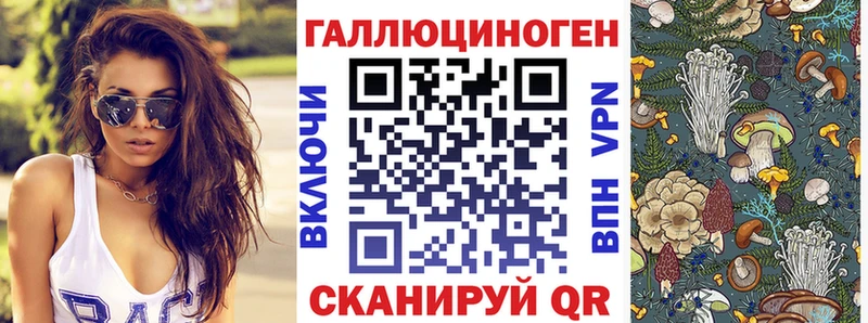 Купить Неман Галлюциногенные грибы мухоморы